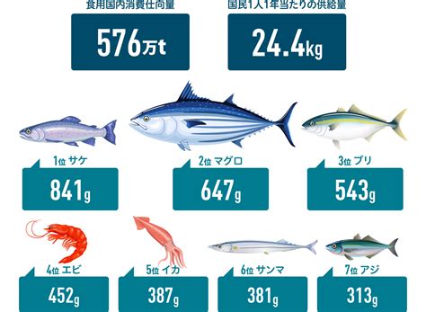 日本魚種類